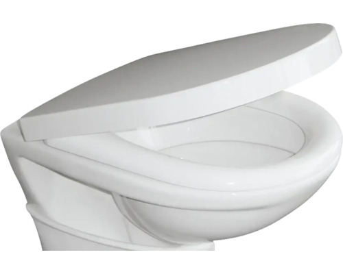 Wand-Tiefspülklosett mit offenem Spülrand und WC-Sitz