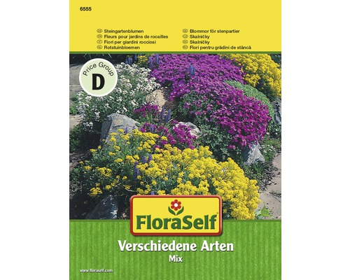 FloraSelf Steingartenblumen Verschiedene Arten Mix