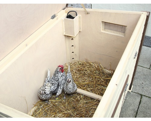 Offener Hühnerstall mit zwei Hühnern und Stroh