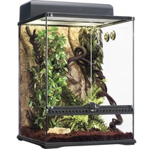 Terrarium-Set Exo Terra Rainforest Habitat Kit Gr. M