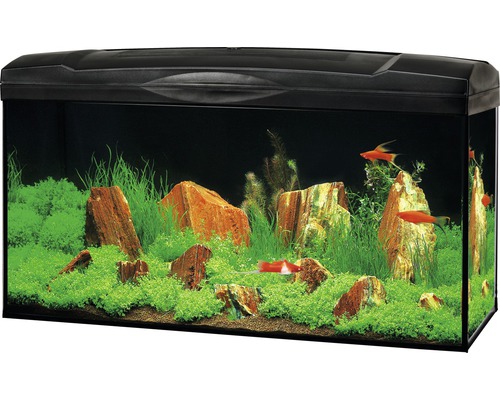 Aquarium Marina Complete 54 inkl. LED-Beleuchtung 10 W, Filter, Heizer, schwarz Aquarium mit Steinen, Pflanzen und Fischen