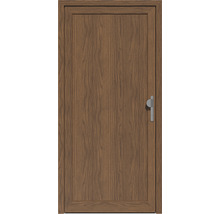Holztür mit Türgriff