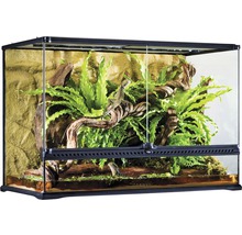 Terrarium mit Dekoration und Echse