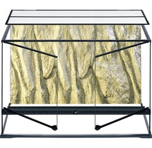 Terrarium mit Felsrückwand