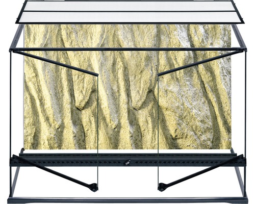 Terrarium mit Felsrückwand