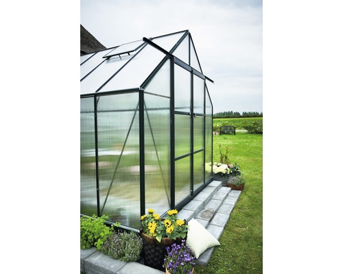 Gewächshaus mit Pflanzen und Steintreppe im Garten.