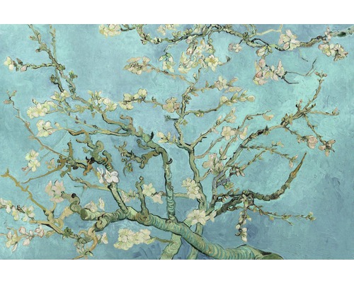 Poster Van Gogh Bloesem 61x91,5 cm