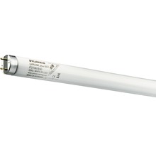 Sylvania Leuchtstofflampe
