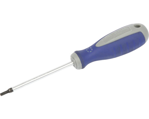 Schraubenzieher 100 mm Torx T20