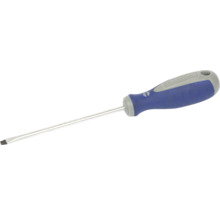 Schlitzschraubendreher mit blauem Griff