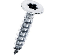 Einzelne Schraube mit Torx Antrieb