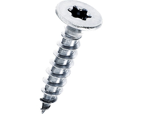 Einzelne Schraube mit Torx Antrieb