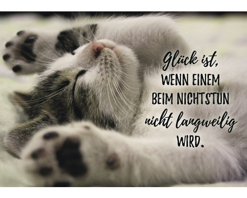 Postkarte Glück ist, wenn einem beim nichtstun nicht langweilig wird 14,8x10,5 cm Schlafende Katze mit dem Schriftzug Glück ist, wenn einem beim Nichtstun nicht langweilig wird.