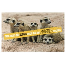 Eine Gruppe Erdmännchen mit dem Schriftzug: Man muss die Schuld auch mal bei anderen suchen.