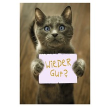 Eine graue Katze hält ein Schild mit der Aufschrift: Wieder gut?