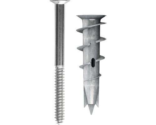 Eine Schraube und ein Metalldübel