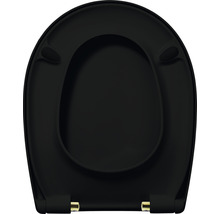 Schwarzer Toilettensitz