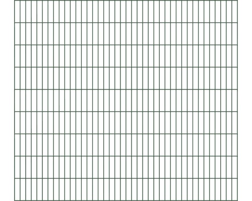 Doppelstabmatte ALBERTS 6/5/6 200 x 180 cm grün