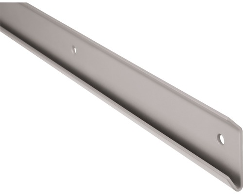 Dolle Regale silber 1640 x 13 x 50 mm Tragkraft 150 kg Graue Regalschiene mit Löchern zur Befestigung