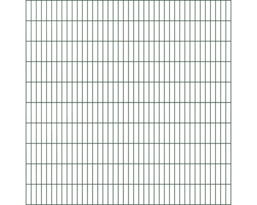 Doppelstabmatte ALBERTS Typ 6/5/6 200 x 200 cm grün