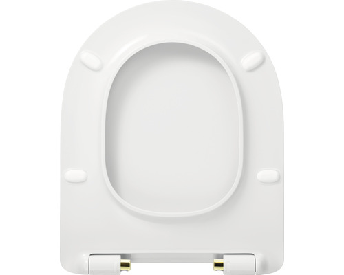 Toilettendeckel aus Kunststoff
