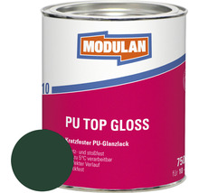 Modulan PU Top Gloss Lackdose