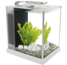 Kleines Aquarium mit Kies, Pflanzen und Steinen