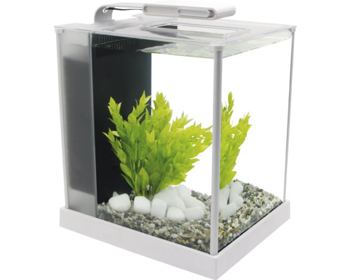 Kleines Aquarium mit Kies, Pflanzen und Steinen