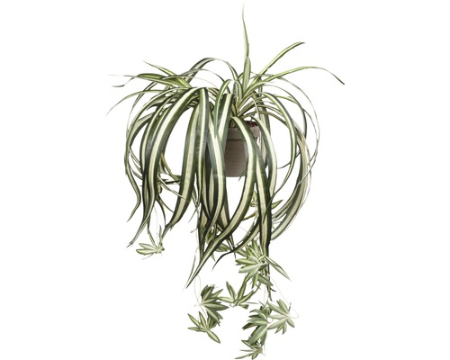Kunstpflanze Grünlilie Chlorophytum Ø 45 cm Höhe: 30 cm grün