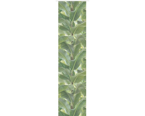 Flächenvorhang Banana-Tree 03 grün 245x60 cm