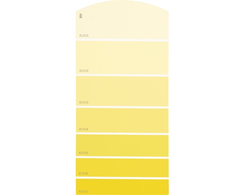 Farbmusterkarte B04 Farbwelt gelb 21x10 cm