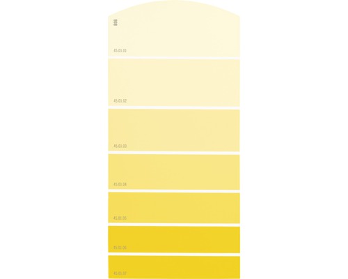Farbmusterkarte B06 Farbwelt gelb 21x10 cm