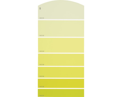 Farbmusterkarte B07 Farbwelt gelb 21x10 cm