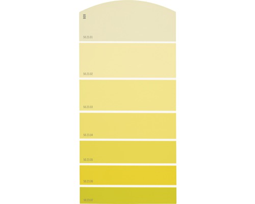 Farbmusterkarte B09 Farbwelt gelb 21x10 cm