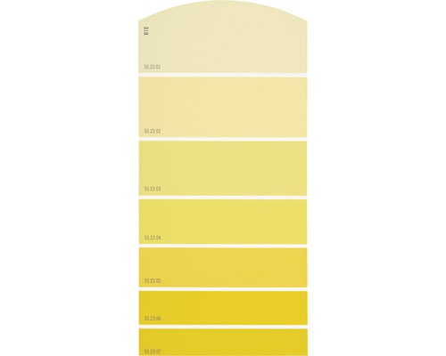 Farbmusterkarte B10 Farbwelt gelb 21x10 cm