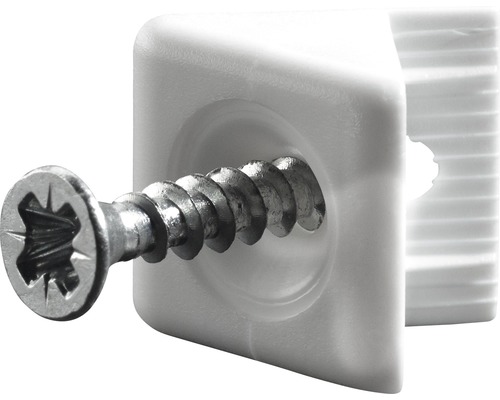 Rückwandstabilisator 15x10,7 mm Kunststoff weiß, 50 St. Befestigungsclip mit Schraube