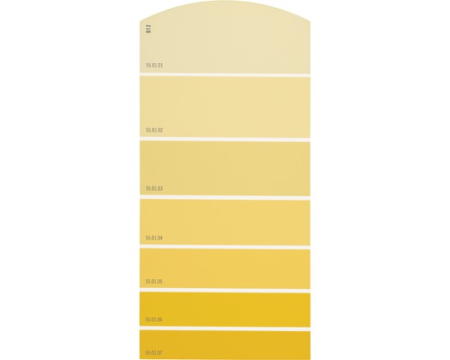 Farbmusterkarte B12 Farbwelt gelb 21x10 cm