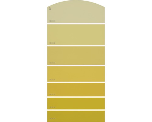 Farbmusterkarte B17 Farbwelt gelb 21x10 cm