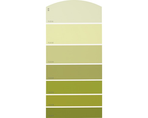 Farbmusterkarte B19 Farbwelt gelb 21x10 cm