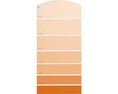 Farbmusterkarte C06 Farbwelt orange 21x10 cm