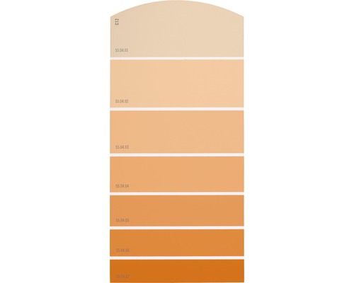 Farbmusterkarte C12 Farbwelt orange 21x10 cm