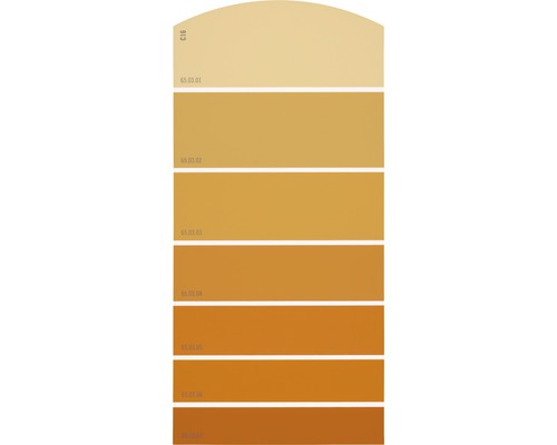 Farbmusterkarte C16 Farbwelt orange 21x10 cm