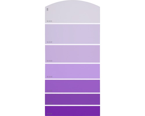 Farbmusterkarte E08 Farbwelt lila 21x10 cm