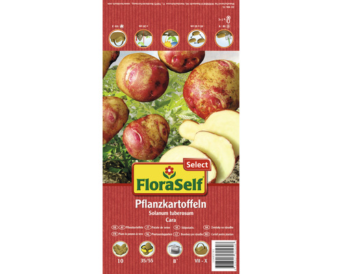 Pflanzkartoffel FloraSelf Select 'Cara' 10 Stk.