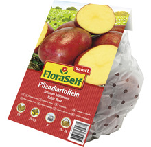 FloraSelf Pflanzkartoffeln Sorte Baltic Rose im Sack
