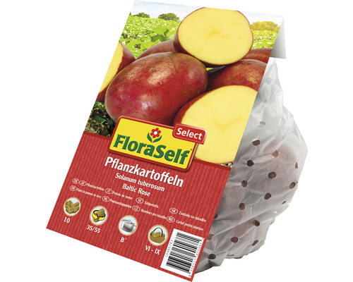 FloraSelf Pflanzkartoffeln Sorte Baltic Rose im Sack