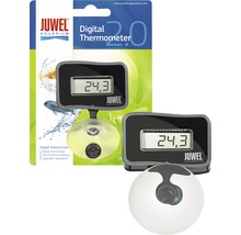 Juwel Digital Thermometer mit Saugnapf