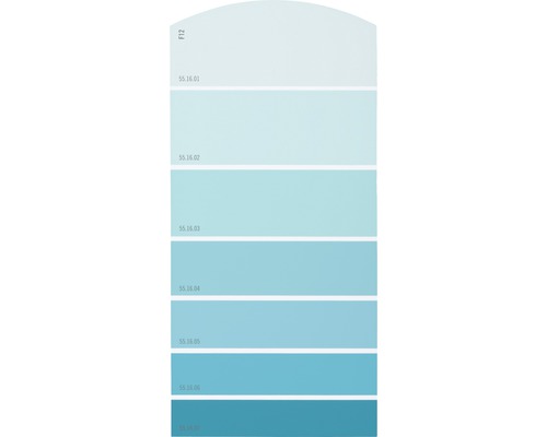 Farbmusterkarte F12 Farbwelt blau 21x10 cm