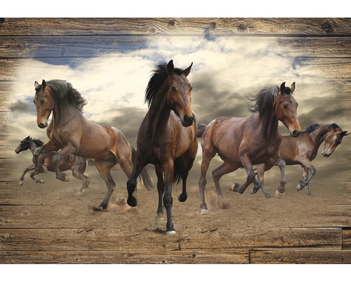 Fototapete Papier 10083P4 Pferde im Galopp 2-tlg. 254x184 cm