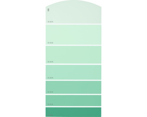 Farbmusterkarte G08 Farbwelt grün 21x10 cm